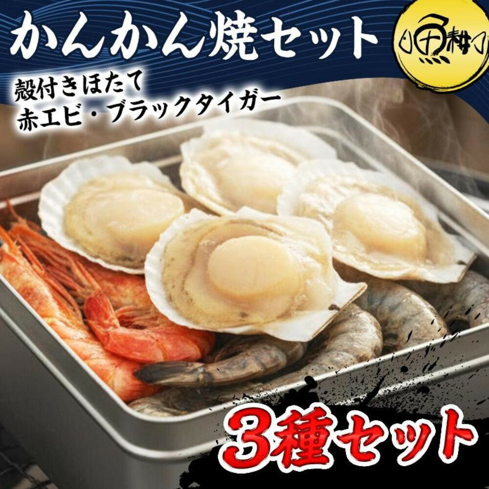 【ふるさと納税】ガンガン焼き カンカン焼き 海鮮 3種 セット 殻付き ホタテ 赤エビ ブラックタイガー 海鮮バーベキューセット BBQ 海鮮セット 約4－5人前 冷凍 | セット 食品 加工食品 人気 おすすめ 送料無料