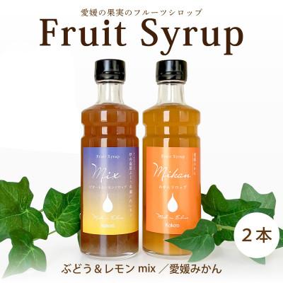 ふるさと納税 松山市 愛媛県産フルーツシロップ2本セット《みかん・ピオーネ&amp;レモン》(簡易箱入り)