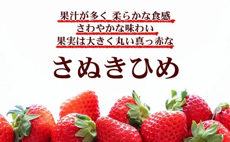 いちご 朝採り さぬきひめ 1kg いちご 苺 苺 配送：2026年1月～