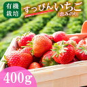 【ふるさと納税】【2025年1月中旬発送開始】すっぴん有機いちご「恋みのり」400g(200g×2 パック)| 茨城県 つくば市 いちご 苺 イチゴ 恋みのり 有機栽培 無農薬 有機農業 オーガニック 自然 果実 フルーツ 果物 希少