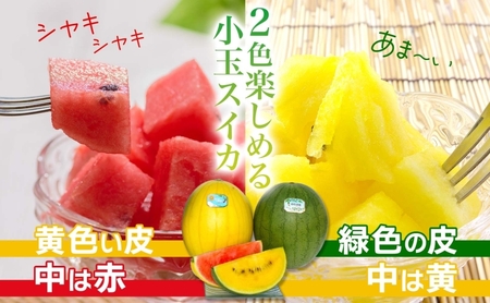小玉スイカセット 夏の日 緑 赤 黄 北海道 小玉スイカ【2〜2.5kg 2玉】