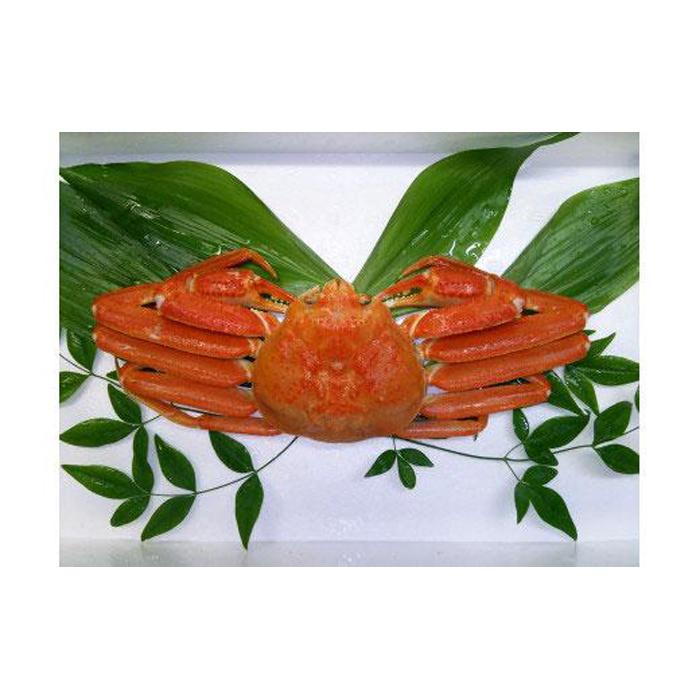 【ふるさと納税】カニ 松葉ガニ ボイル （ 1枚 ） | 蟹 魚介類 水産 食品 人気 おすすめ 送料無料