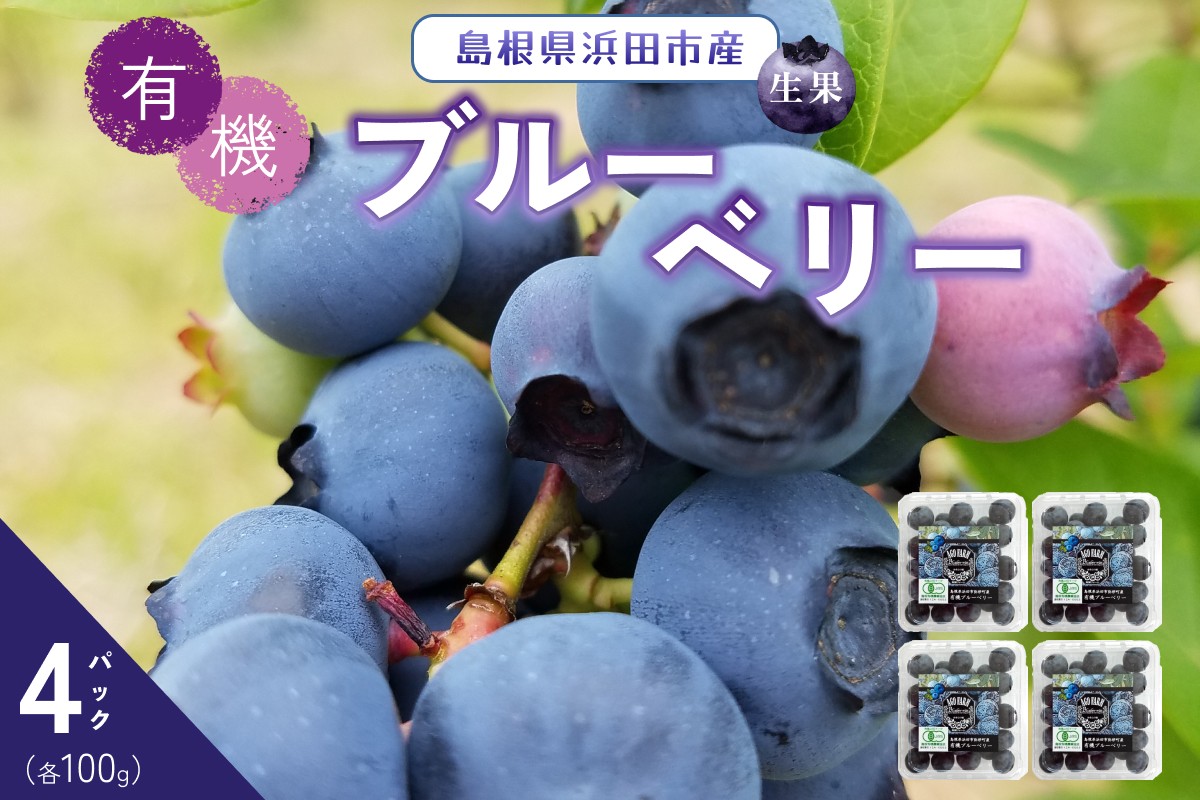 
                  【先行予約】有機ブルーベリー 100g×4パック（島根県浜田市産） フルーツ 果物 有機 ブルーベリー 安心 安全 大粒 【208_0001】
                