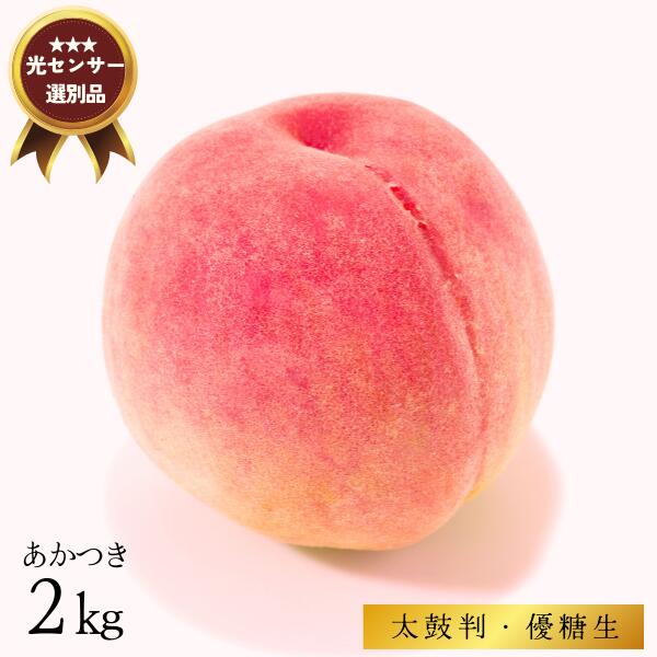 【ふるさと納税】桃 あかつき 約2キロ／7月下旬 配送予定 //長野県 南信州 贈答 ギフト 糖度センサー 光センサー 糖度選別 厳選 もも 2キロ JA01