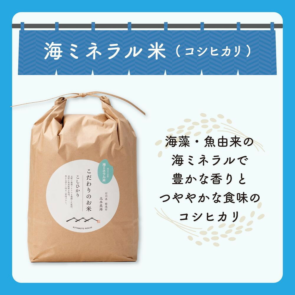 【ふるさと納税】北本農場のお米令和8年度産コシヒカリ精米5kg有機肥料（海ミネラル肥料）で育てたお米 | こしひかり 白米 美味しい おこめ 国産 石川県産 家庭 ご飯 有機肥料 故郷納税 ランキング 人気 銘柄米　海ミネラル肥料