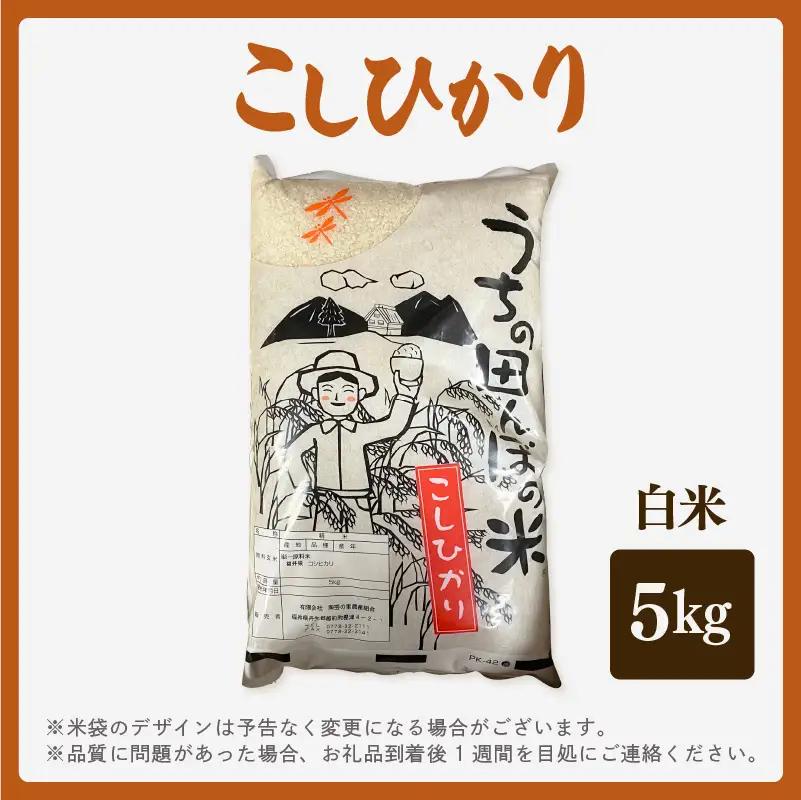 【先行予約】【令和8年産】こしひかり 5kg【白米】【2026年10月中旬以降順次発送】 [e26-a015_01]
