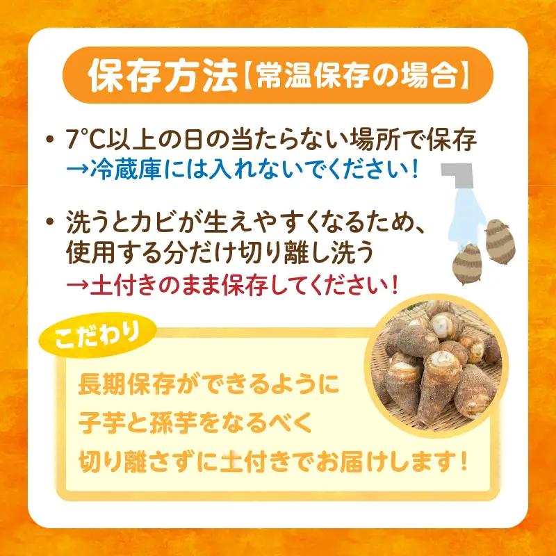 【定期便5ヶ月】里芋『とろまろ』土付き 4.5kg・H141