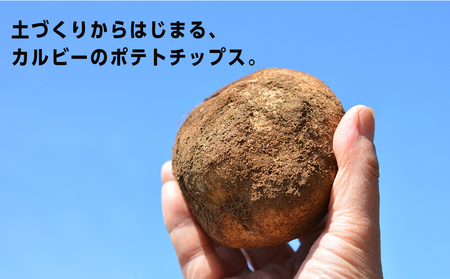 【北海道限定】カルビー 堅あげポテト＜バターしょうゆ味＞12袋入×2箱《千歳工場製造》