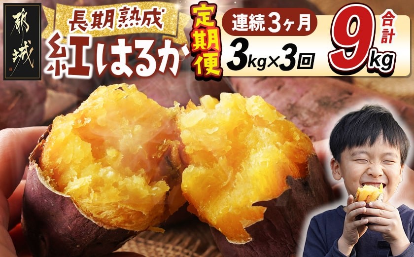 
            【3回お届け!】都城産 長期熟成紅はるか 3kg 定期便_TLE3-I201_(都城市) 都城産 さつまいも 熟成紅はるか 秀品 3kg サイズ未選別 S～L 
          
