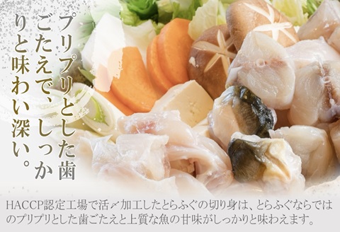 活〆おうごんとらふぐプレミアム4人前セット【F6-002】