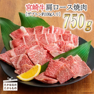 宮崎牛肩ロース焼肉 TF0385-P00007