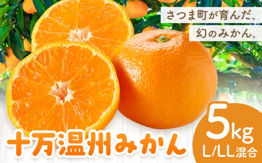 十万温州みかん 選べる L/LL混合 5kg 田野農園《12月中旬-3月中旬頃出荷》鹿児島県 さつま町 みかん 蜜柑 柑橘 果物 くだもの フルーツ ジューシー 送料無料