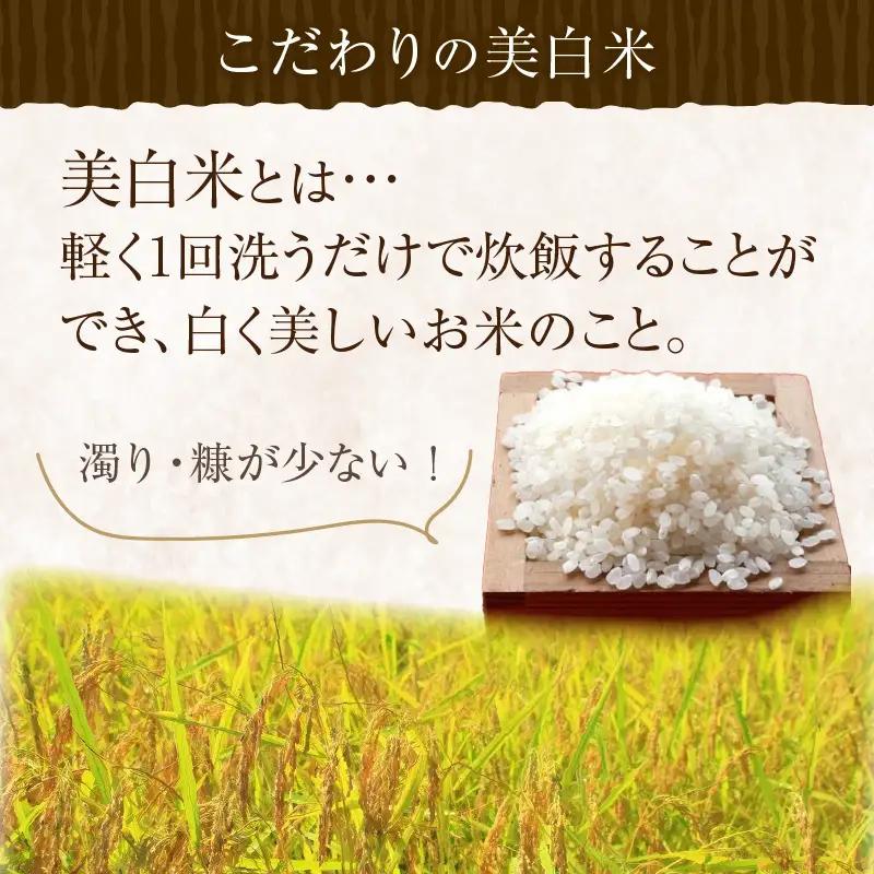 コシヒカリ 1等米 3㎏ 令和7年 精米 コシヒカリ