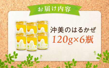 まじりっけなし！江田島産100％!はちみつ『沖美のはるかぜ』120g×6本セット ハチミツ ハニー 蜂蜜 国産 広島県 江田島市/はつはな果蜂園[XCD005]