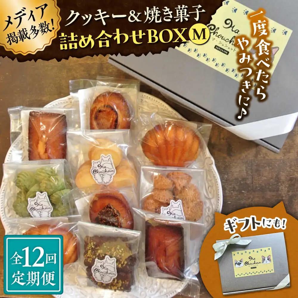 【全12回定期便】クッキー＆焼き菓子詰め合わせBOX M／ クッキー [ASBU014]