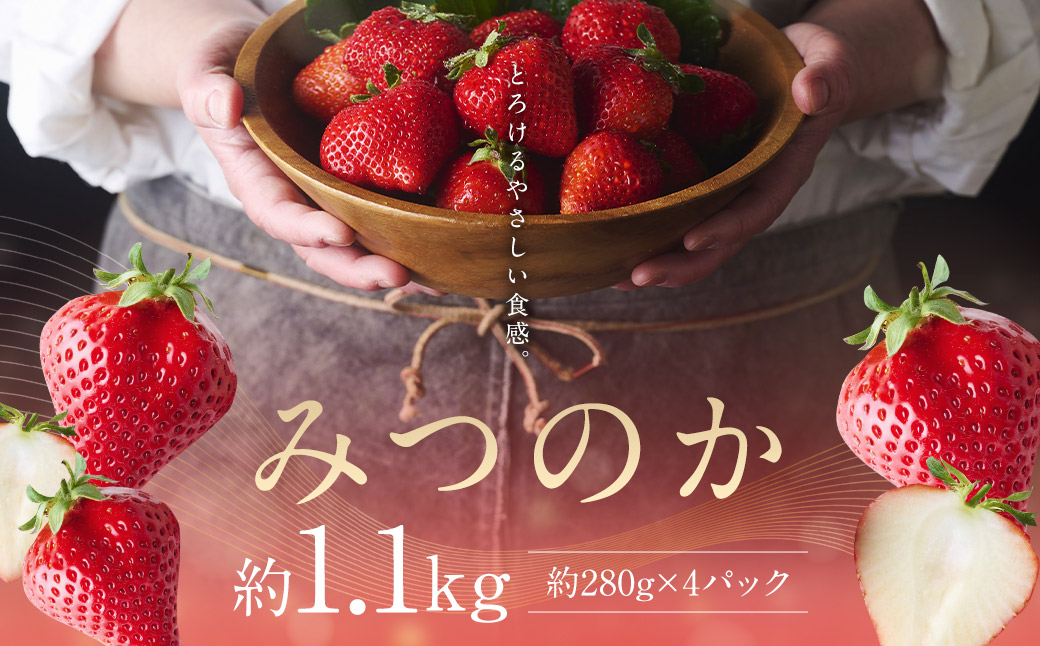 希少な地元産いちご 『みつのか』 280g×4パック 計1.12kg 【2026年12月下旬から2027年4月下旬発送予定】