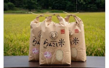 【令和7年産】有機JAS転換期間中有機農産物 らんこし産 ゆめぴりか 5kg(中村農場)お米 米 精米 【2025年10月上旬~2026年7月下旬発送予定】