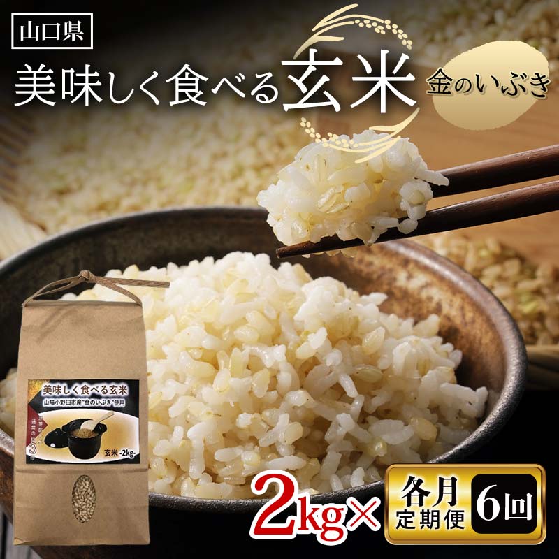 【ふるさと納税】 《各月 全6回 定期便》美味しく食べる玄米 2kg×6 計12kg 玄米 金のいぶき 定期便 ご当地 グルメ 食品 F6L-1346