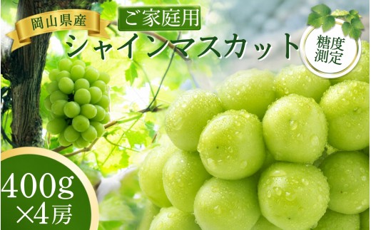 
                  岡山県産シャインマスカット ご家庭用 パック 400g×4房 【2026年先行予約】 糖度測定　｜ 岡山 ぶどう シャインマスカット マスカット しゃいんますかっと 葡萄 産地直送 種なし 皮ごと 岡山 真庭市 ぶどう ぶどう 岡山  真庭市 シャインマスカット 果物 人気 産地直送 国産 数量限定【bfyd005-01】
                