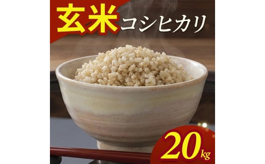 令和7年産【玄米】コシヒカリ　20kg(5kg×4袋) YA SF0384