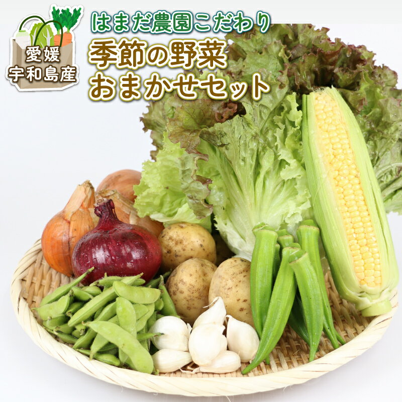 【ふるさと納税】 季節のおまかせ 野菜 セット はまだ農園 やさい 野菜セット 美味しい 新鮮 小分け 季節 お任せ 食べ比べ 旬野菜 旬 詰め合わせ 季節限定 季節野菜 フレッシュ yasai 農家直送 産地直送 数量限定 国産 愛媛 宇和島 F010-139001
