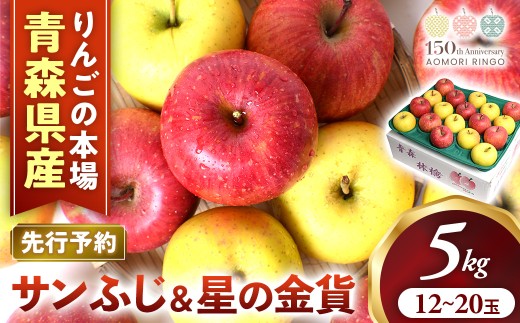 【2026年産・先行予約】りんご【サンふじ＆星の金貨】セット 約5kg（計12～20玉）★2026年11月中旬～12月中旬頃まで発送予定★ りんご 林檎 リンゴ 果物 フルーツ 国産 贈答 土産 青森県 三戸町 H2832