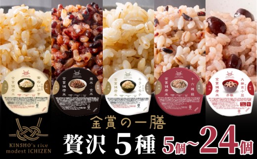ご飯パック 金賞 健康米 食べ比べ 贅沢 5種セット 黒米 金のいぶき キラリモチ 十六雑穀 赤飯 120g×24個入り 国産 レンチン もち麦 軽食 夜食 簡単 白米 麦 食物繊維 ビタミン 御飯 ごはん パック ご飯 パックライス