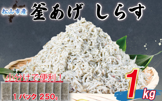 訳あり 釜揚げ しらす 1kg |  訳ありしらす 不揃いシラス 国産しらす 冷凍シラス 釜揚げしらす シラス丼 海の幸 松山市産しらす 愛媛県産シラス しらす シラス 釜揚げしらす 惣菜 弁当 簡単調理 ごはんのお供 加工品  海の幸 しらす丼 グルメ 食品 魚介 小魚 魚 鮮魚 海鮮  シラス 卵 たまご 訳あり商品  愛媛県 松山市