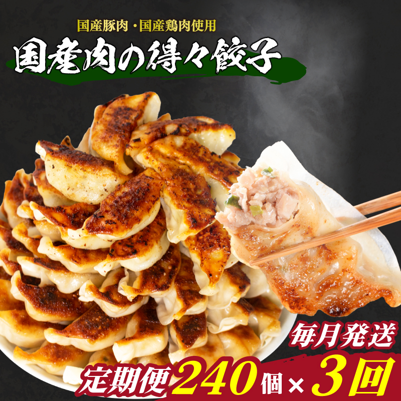 訳あり 国産肉の得々餃子 3回 毎月 定期便 240個 20個×12パック 冷凍