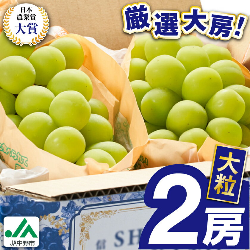 【ふるさと納税】＼レビューキャンペーン／_2025年先行予約　9月上旬～10月下旬発送JA中野市大粒 大房シャインマスカット2房1.3kg以上_ シャインマスカット 長野県 2024 4L 贈答用 ギフト ふるさと ぶどう 葡萄 ブドウ フルーツ 果物 【配送不可地域：離島】【1459211】