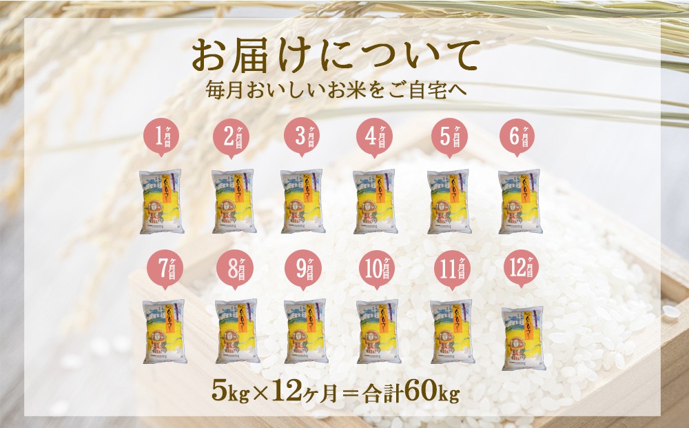 【年間定期便】 えびの産 ひのひかり 5kg×12ヶ月 合計60kg