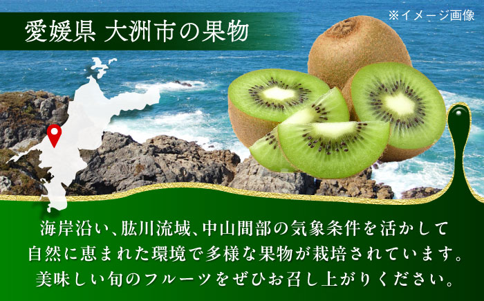 【先行予約】【2025年1月上旬より順次発送】生産量日本一！家族で毎日食べられる！甘熟キウイ　3L〜4Lサイズ（20〜24玉入）　愛媛県大洲市/沢井青果有限会社果物 [AGBN001]キウイ フルーツ