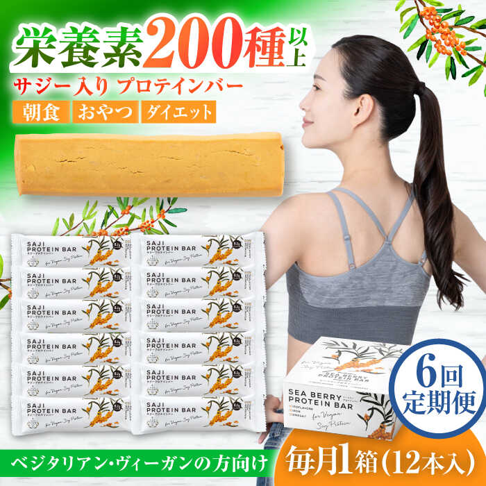 【ふるさと納税】【6回定期便】プロテインバー サジープロテインバー 1箱 サジーとソイプロテインの低糖質バー 動物性不使用 保存料不使用 毎日の栄養バランス サジープロテインバー 豆 栄養食 朝食 大豆 ダイエット セット 人気 ギフト 岐阜市 / 宝島ジャパン [ANDF004]