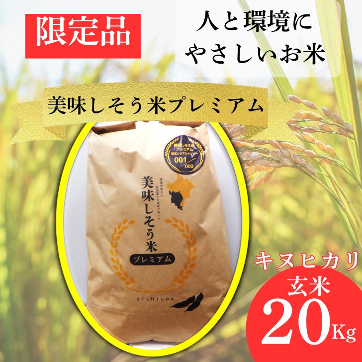 【ふるさと納税】 数量限定 キヌヒカリ 玄米 20Kg 令和7年産 新米　美味しそう米 プレミアム　I11　【 限定 お米 コメ 玄米 きぬひかり 兵庫県 宍粟市 】