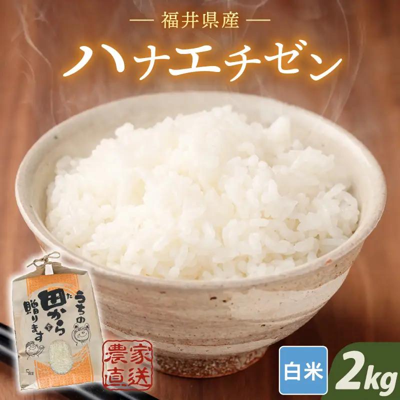 【令和8年産・新米】ハナエチゼン 2kg (1袋)  [A-8997]