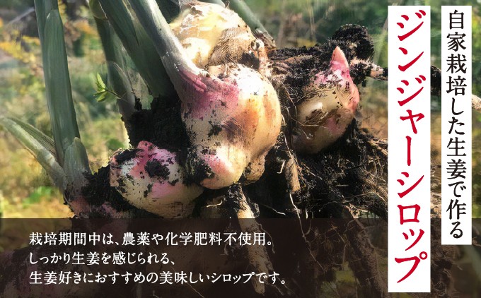 自家栽培の生姜でつくる ジンジャーシロップ 2本セット (辛口スパイシー・すっきりマイルド各1本) | べじたぶるぱーく株式会社