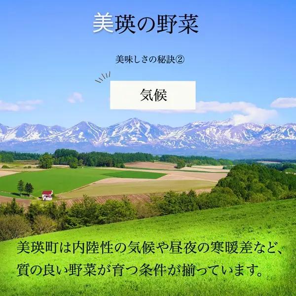 旬の野菜定期便 5回 【令和9年産予約受付】 美瑛の四季 鈴蘭（小）  野菜