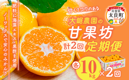 【2回定期便】大鋸農園の甘果坊 １０kg みかん蜜柑太良みかん温州みかん果物フルーツ甘い柑橘ノーワックス果実くだもの柑橘類佐賀県太良町 P81x1