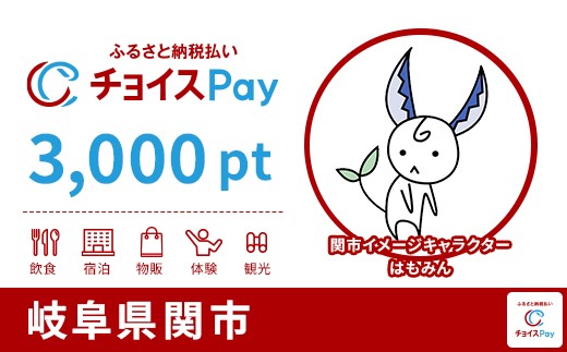 
            関市チョイスPay 3,000pt【会員限定のお礼の品】
          