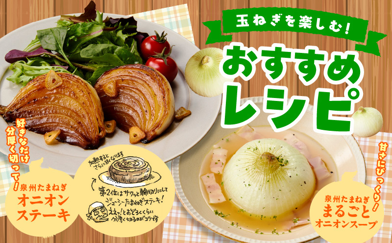 【プレミアム】泉州たまねぎ 5kg【玉ねぎ タマネギ 玉葱 甘い 野菜 国産 オニオン サラダ カレー バーベキュー 先行予約】 G3526_イメージ5