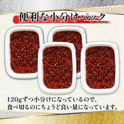 ふるさと納税 鹿部町 丸鮮道場水産 一口サイズに切り分けた筋子(秋鮭の卵) 120g×4個 MC130-4 |  | 02