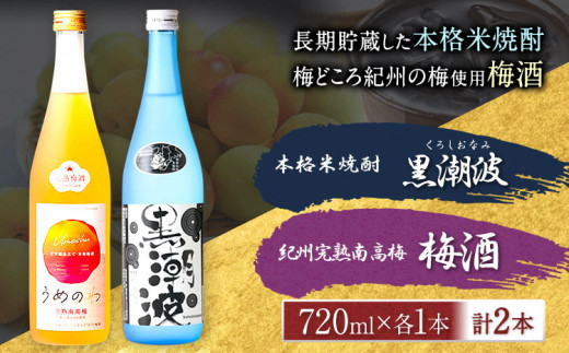 本格米焼酎黒潮波紀州完熟南高梅梅酒720ml×各1本2本セット厳選館《90日以内に出荷予定(土日祝除く)》酒焼酎果実酒---wshg_genknku_90d_22_13000_2p---