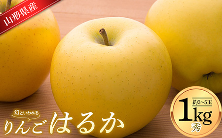 山形県産 りんご はるか 秀品 1kg FSY-0877