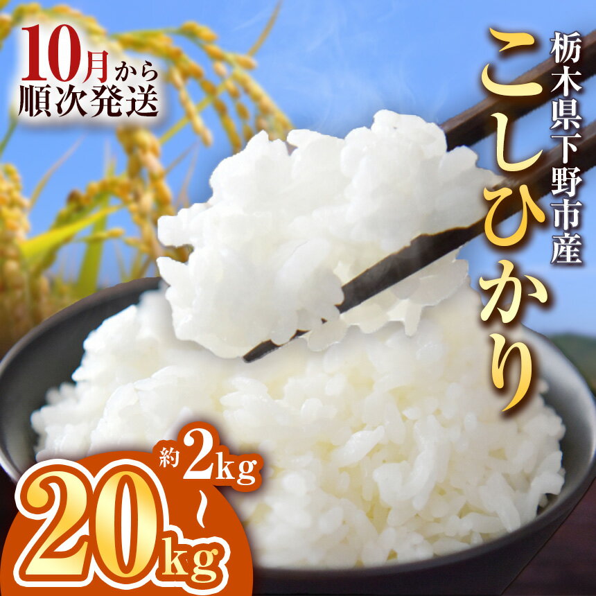 【ふるさと納税】楽天限定 訳あり マラソン 米 お米 新米 米 下野市産 コシヒカリ 新米 2~20kg 先行予約 10月発送 選べる内容量 | こめ コメ 白米 精米 こしひかり コシヒカリ 新米 栃木米 令和7年度米 令和7年 2025年度 ブランド米 栃木県 特産品 送料無料 栃木県 下野市