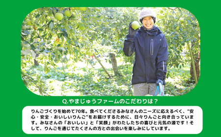りんご サンふじ 極選 5kg やまじゅうファーム 沖縄県への配送不可 2024年12月上旬頃から2024年12月下旬頃まで順次発送予定 令和6年度収穫分 信州の環境にやさしい農産物 減農薬栽培 長野
