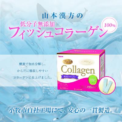 ふるさと納税 小牧市 山本漢方の低分子　無添加フィッシュコラーゲン100%(合計125スティック)[027Y04] |  | 01