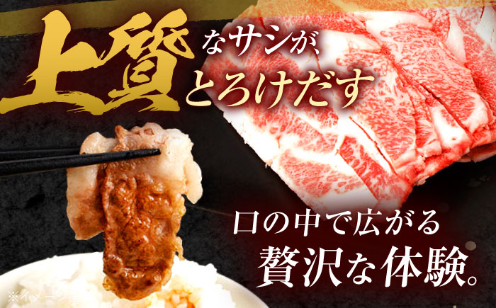 【6回定期便】長崎和牛 切り落とし 1.2kg（400g×3）肩ロース・モモ・カタ・バラ使用 / 牛肉 ぎゅうにく 肉 和牛 国産牛 切落し?/ 諫早市 / 西日本フード株式会社長崎和牛 [AHAV0