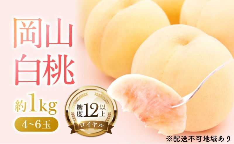 
                  桃 2026年 先行予約 岡山 白桃 ロイヤル 4～6玉 約1kg JAおかやまのもも（早生種・中生種） もも モモ 岡山白桃 ロイヤル 岡山県産 晴れの国 国産 フルーツ 果物 ギフト 旬 期間限定
                