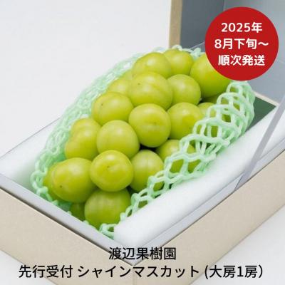 ふるさと納税 三条市 先行受付 大房シャインマスカット1房 (約580g) [8月下旬から発送予定] 【011S091】