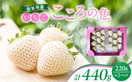 【先行予約】 佐賀県産白いちご 新品種 こころの色 220g×2パック / 佐賀県 / 鐘ヶ江農園[41ASBK003]